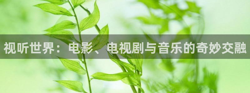 免费久久久视频