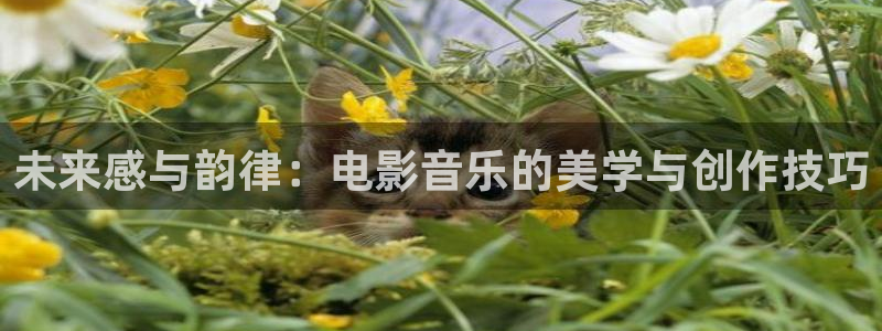 午夜影院久久久