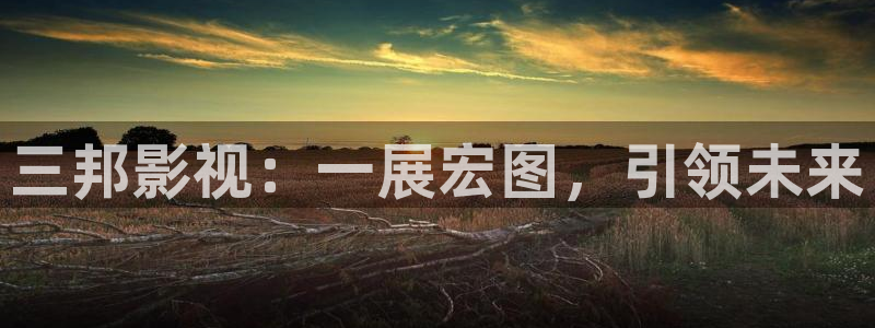 久久视频精