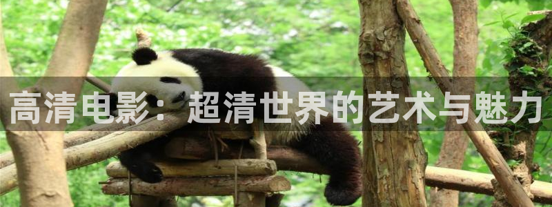 亚洲最大影院久久久久