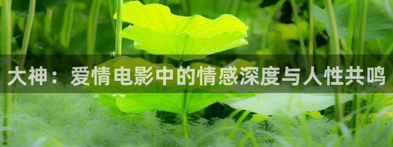 99精品久久视频