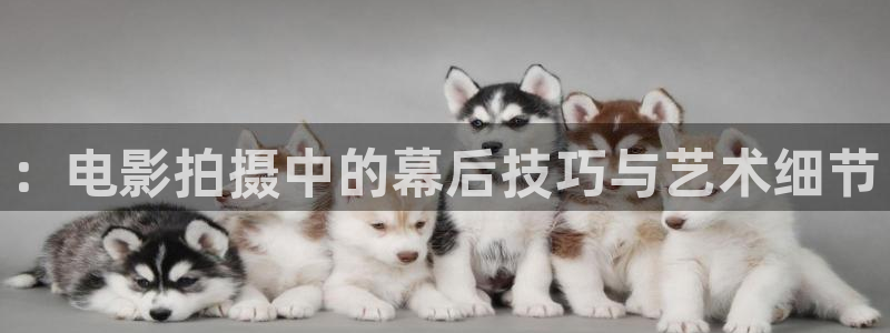 久久久久免费精品视频