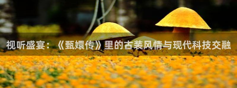 久久视频专区