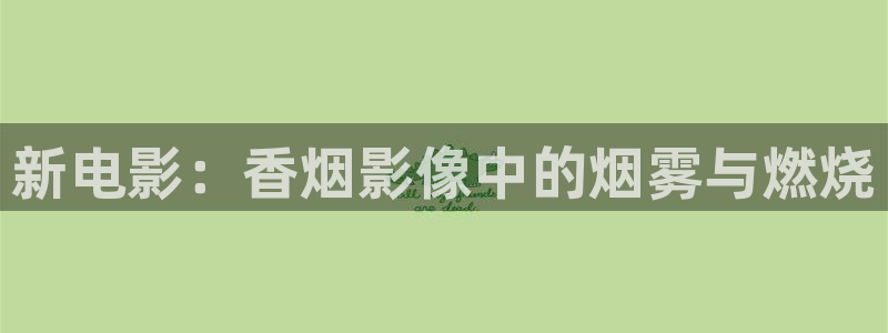 久草久久视频