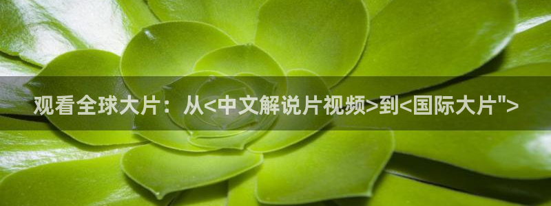 亚洲精品电影久久久久