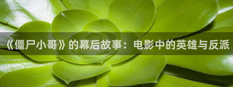 国内精品久久久久久影院