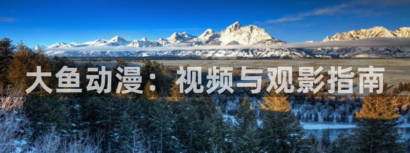 精品久久久电影网