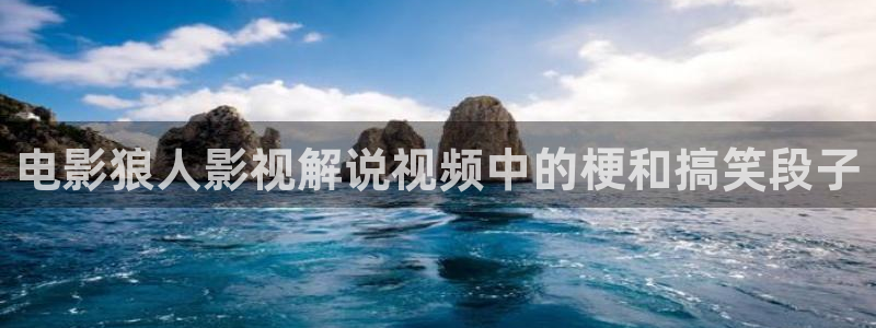 91人妻精品久久久久久久久电影