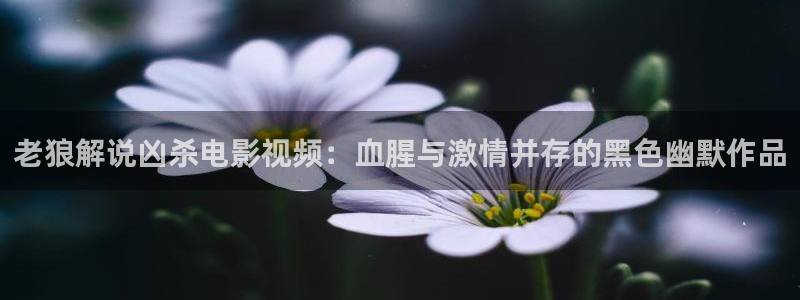 国产精品久久久久久久久电影