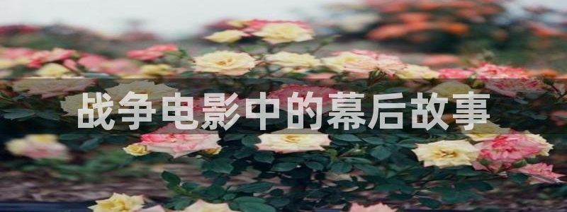久久久久海量视频