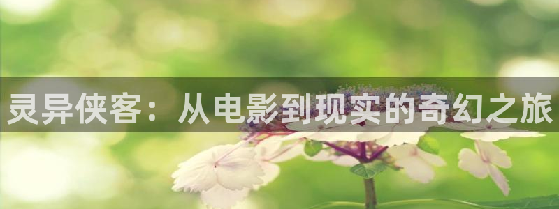 国产精品久久久久久精品电影下载