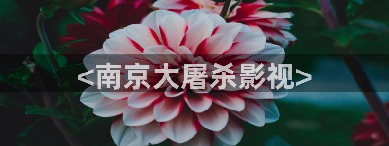 国产精品影视久久久久
