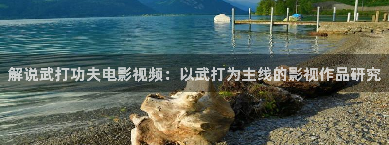 国内精品伊人久久久久aⅴ影院