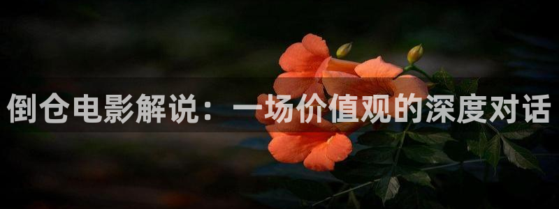 草莓久久视频
