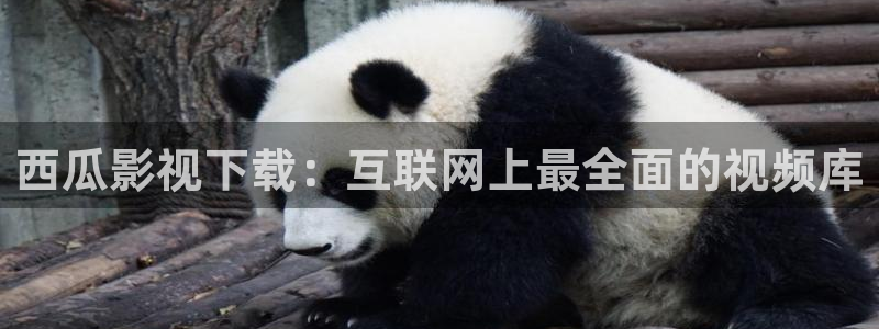 国产精品久久久久久久久精品电影