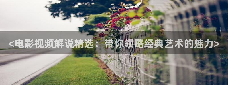 久久久久视频在线观看