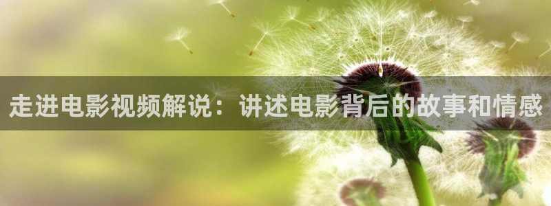 91精品国产高清久久久久