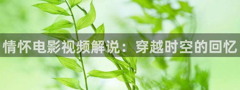 久久久电影网电视剧免费观看高清