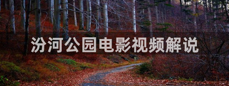 久久久久久蜜桃视频