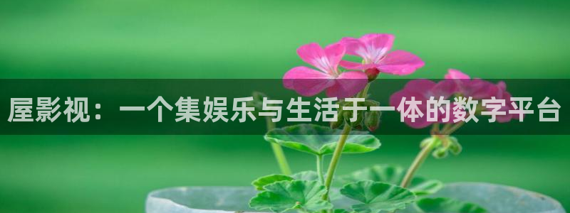国产精品久久久久日本影院