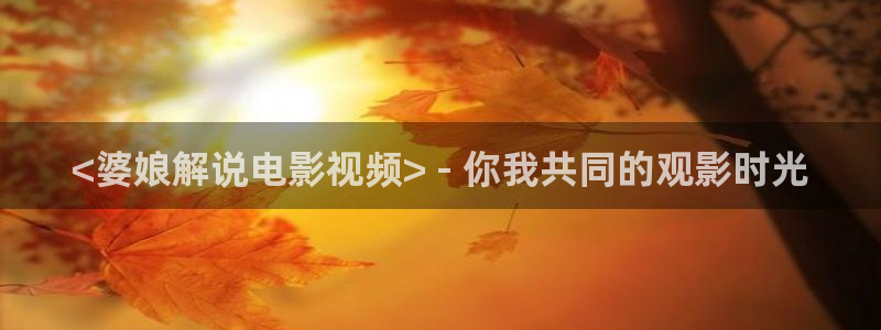 久久视频全集