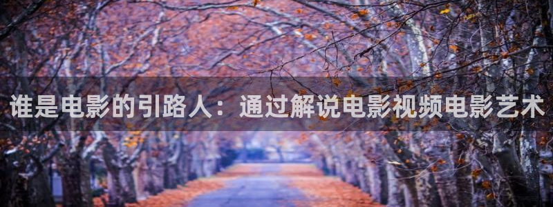 久久视频免费观看