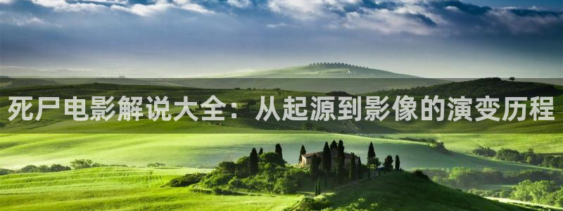 久久视频国产免