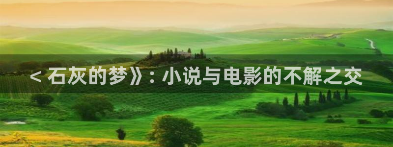 久久久久久久久久久影视