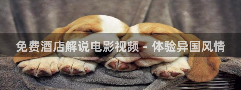 久久久精品电影