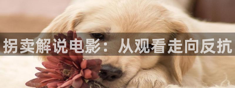 久久久综合影院