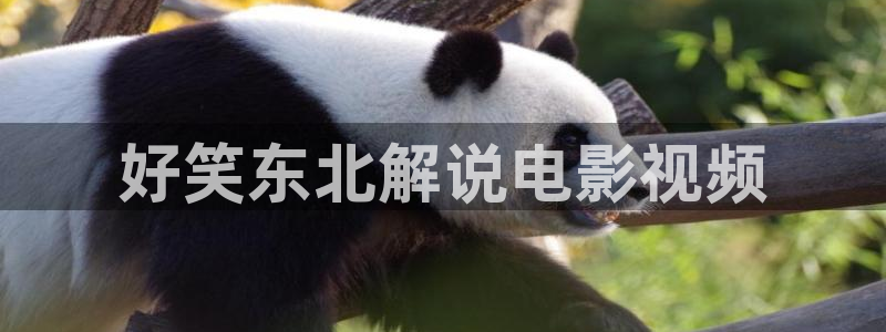 床上视频久久久久