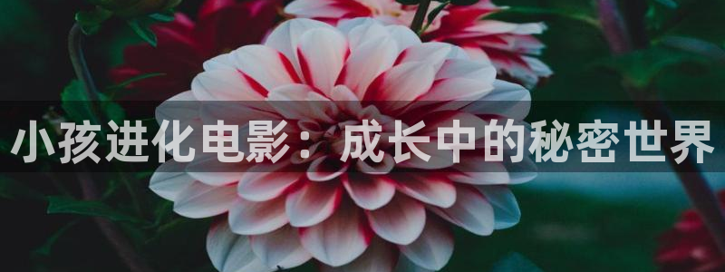 久久久电影免费