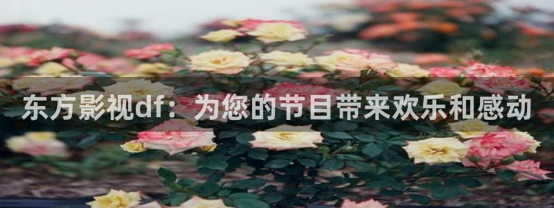 久久国产精品久久久久影院