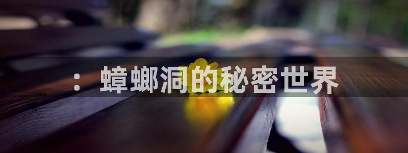久久久久久久久电影