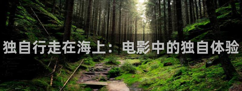 在线久久视频