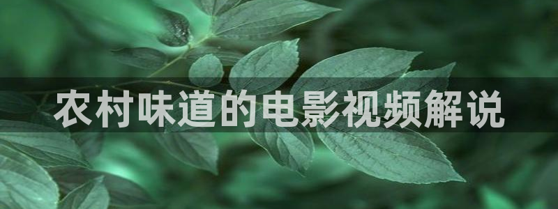 新闻图片